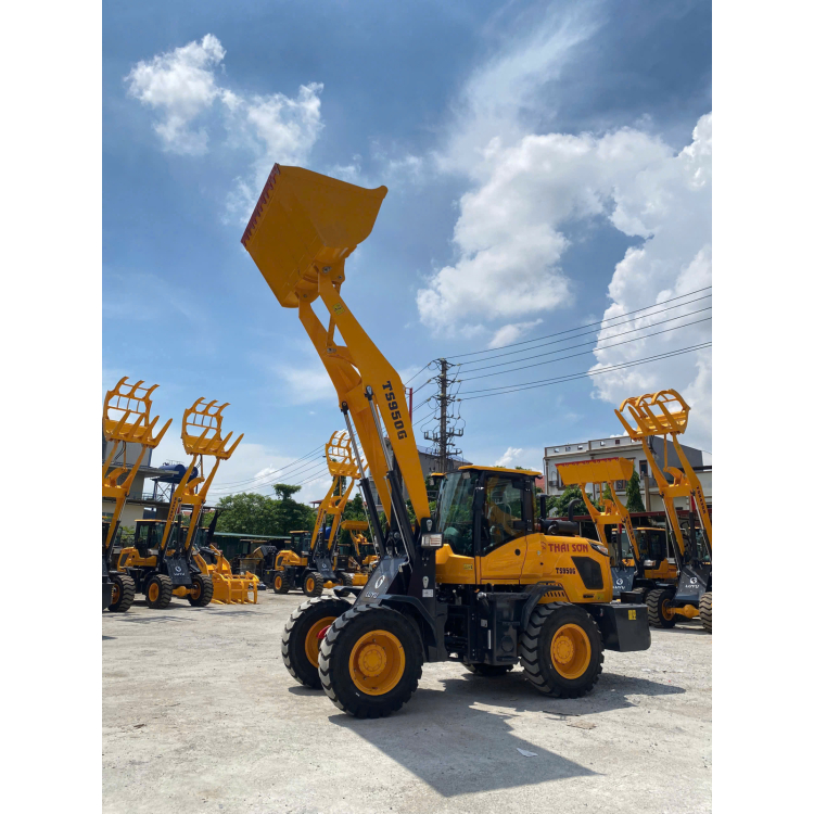 Xe Xúc Lật TS950G